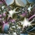 Fractal print: Energy