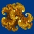 Fractal print: Coral Julia